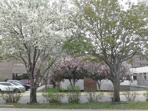 CentraCare - Willmar Clinic - Thumbnail
