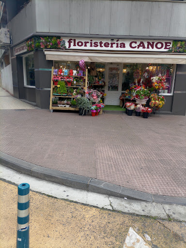 Flores Canoe - Visual