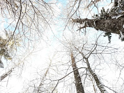 Photos of Velna grāvis uz Nāružiņas upes