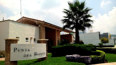 Photos of Punta Del Este