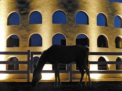 Photos of Horse Pilot Ranch
