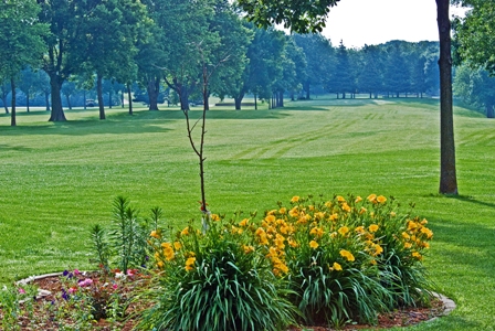 Sac Country Club Gallery - United States