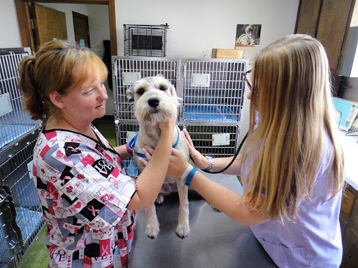 Cumberland Animal Hospital Pa