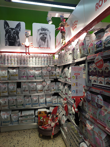 Yuko boutique Per Cani'e Gatti - Thumbnail
