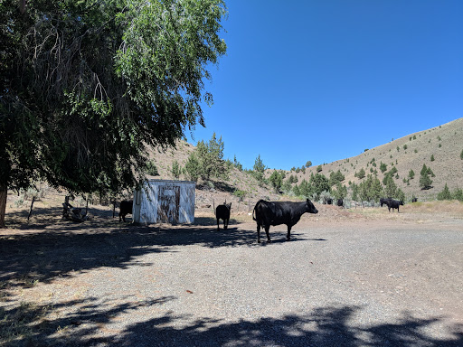 Moon Creek Cemetery - Thumbnail