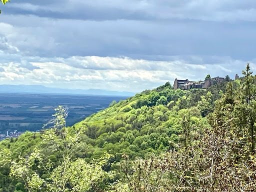 Rastbank Madenburgblick