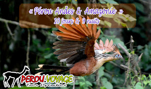 Photo n°1 de Agence de Voyage au Pérou Pérou.Voyage à Neuvéglise-sur-Truyère (Agence de voyages)