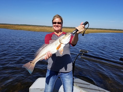 Cedar Island - Visual