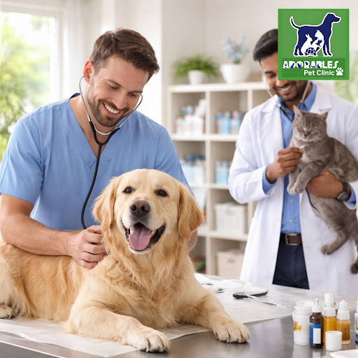 At Adorables Pet Clinic, we believe every pet deserves a long, joyful life. Our experienced vets… post image