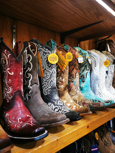 Tiends Caballos - Visual