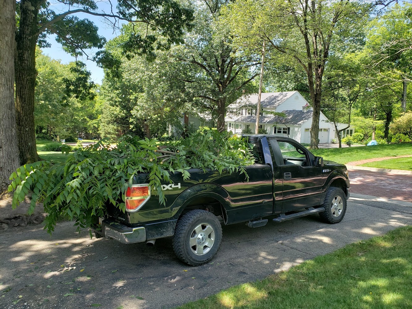 H&H Tree Service and Lawn Care – photo 2 of 3