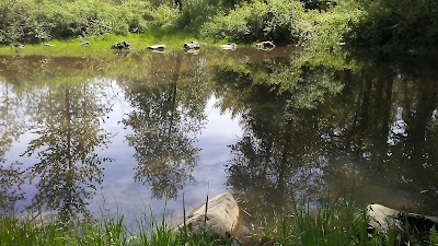 Irish Bend County Park