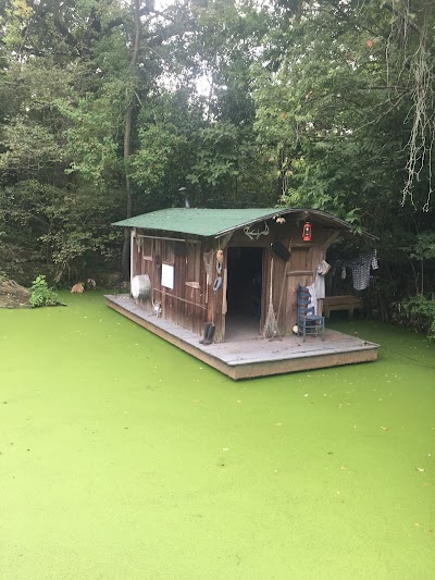 Audubon Zoo - Bus Stop