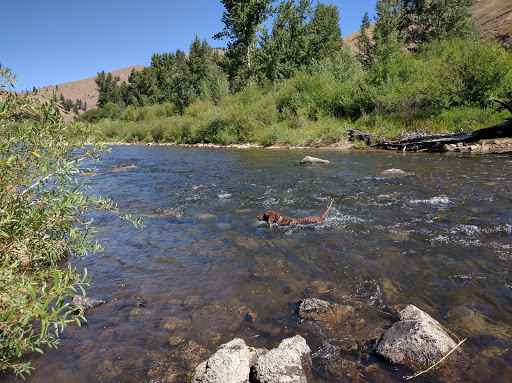 Moosehead Campground - Thumbnail