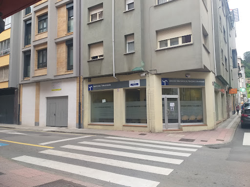 Servicios Tributarios del Principado de Asturias Gallery - Spain