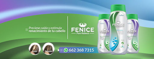 Shampoo Fenice - Visual