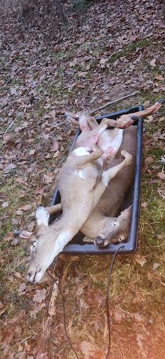 Sabattus Deer Processing - Visual