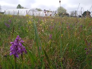 Photo n°6 de Le jardin des sables CBD à Cudos (Magasin de cannabis)