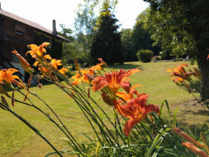 Photo n°37 de Domaine de l'Olifant à Champanges (Hébergement d'intérieur)