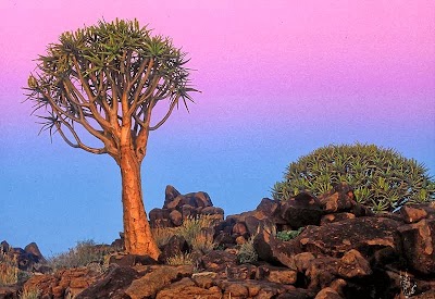 Photos of Outback Africa Erlebnisreisen GmbH