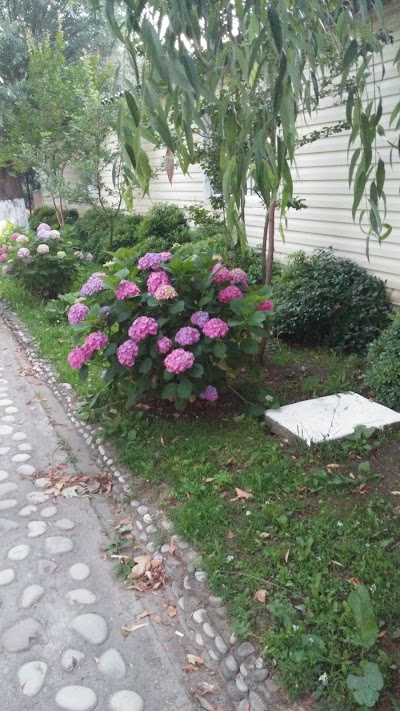 Photos of Gunbatımı Hotel
