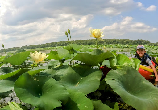 McKinley Woods Kayak