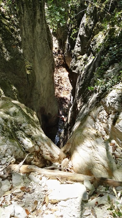 Photos of Monte San Vicino