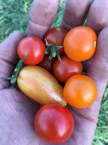 The Farmstand at Tempel Farms Organics 17970 W Millburn Rd, Old Mill Creek, IL 60083, United States