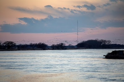 Alda Sandhill Crane Viewing Deck