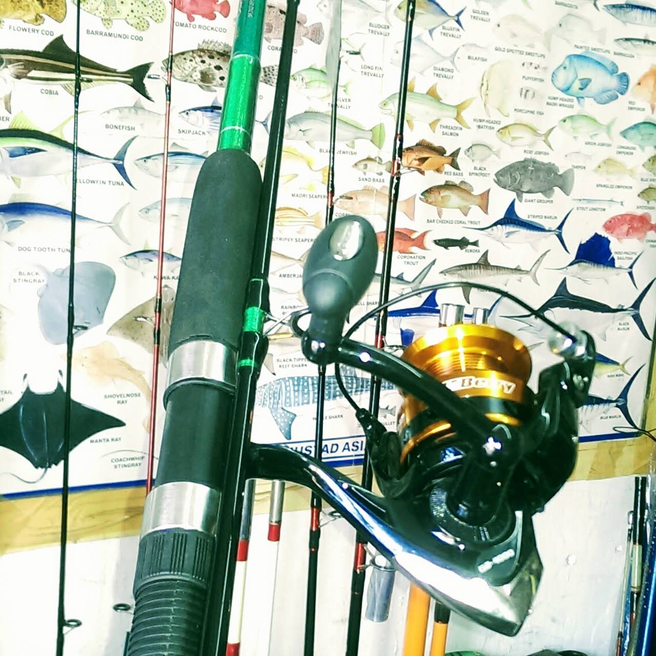 Hobby Fishing tackles Fishing Store in Colombo