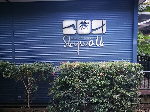 Tamborine Rainforest Skywalk