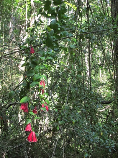 Photos of Reserva Natural San Alfonso