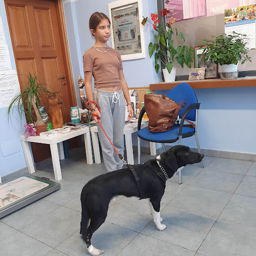 AMBULATORIO VETERINARIO DOTT.SSA BARBIERO CLARA - Thumbnail