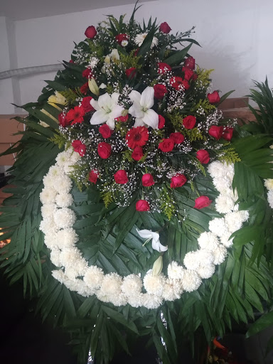logistica funeraria cenpasuchil