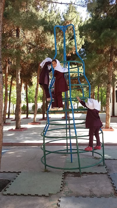 Photos of Shadi Park
