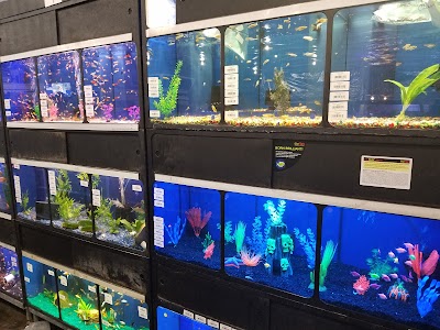 Aquatics Galore LLC