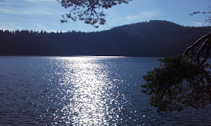 Photo n°16 de Camping Bois de Gravière à Besse-et-Saint-Anastaise (Agence de location de chalets)