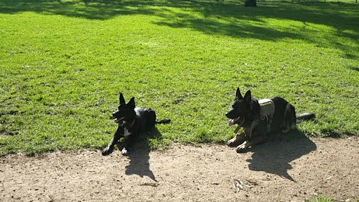 Gunns Road Reserve Fenced Dog Park