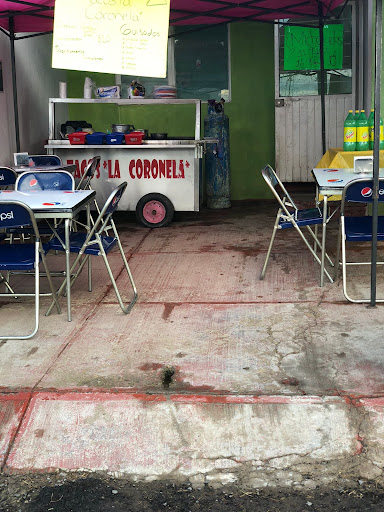 site_photo2