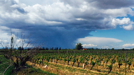 Sérignan - Visual