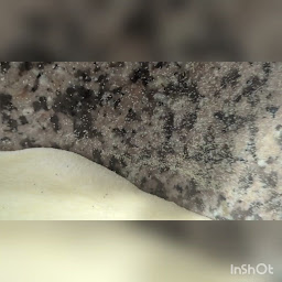 Photo n°34 de NHC Pizza à Gensac-la-Pallue (Restauration rapide)