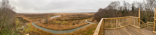 New Viewing Platform - Visual
