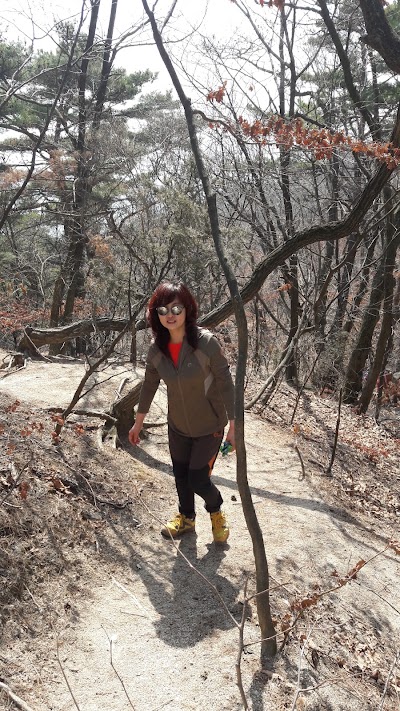 Photos of 도봉산홀리데이파크