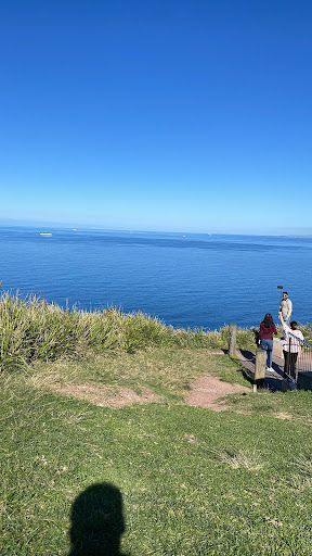 Bald Hill Lookout - Thumbnail