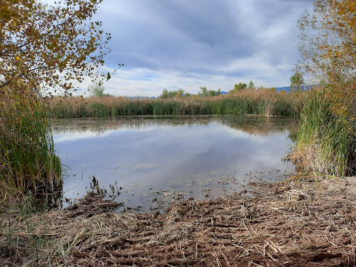 Sedona Wetlands Preserve
