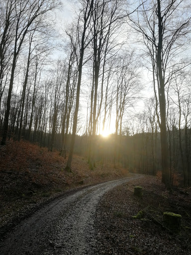 Herrnwald - Visual