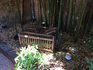 Photo n°47 de Midi à l'ombre à Uzès (Restaurant méditerranéen)