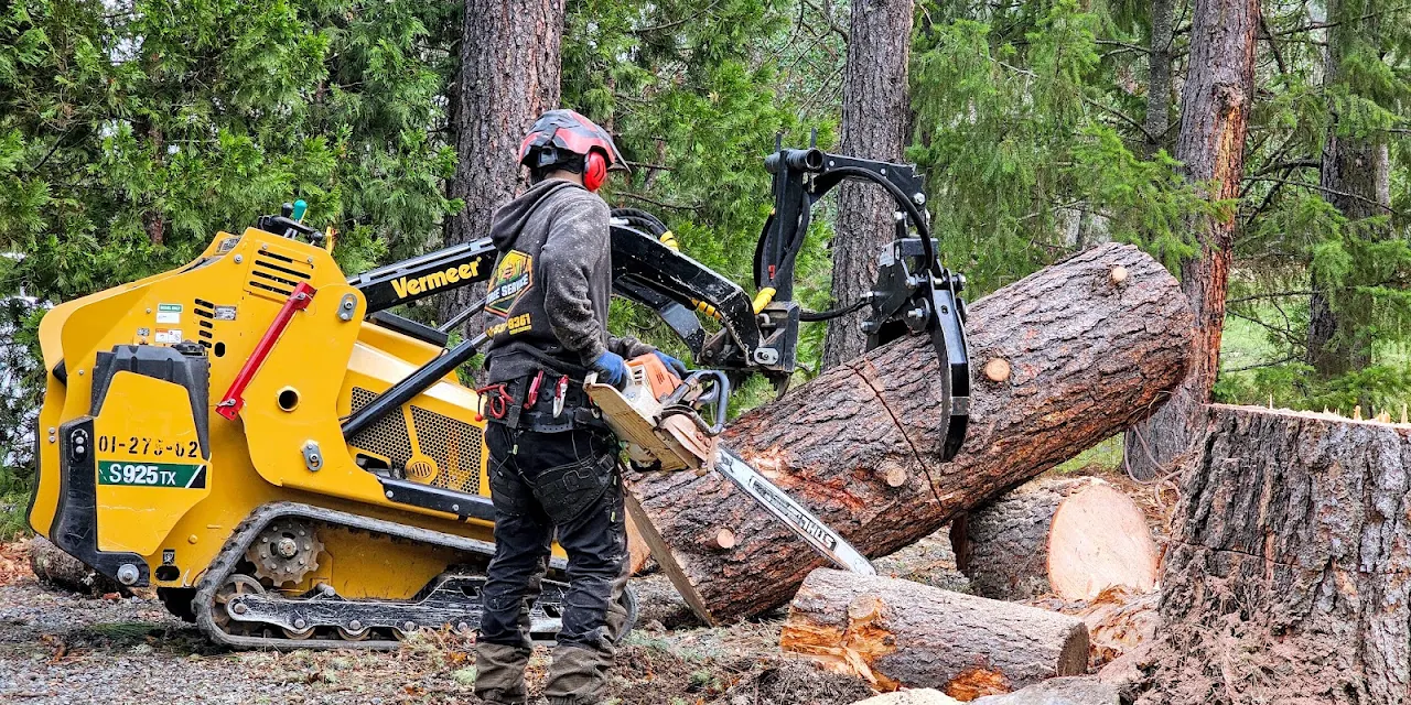 L&J tree service LLC