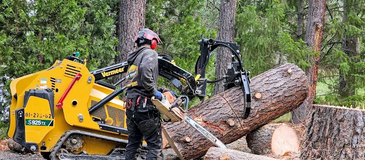 L&J tree service LLC