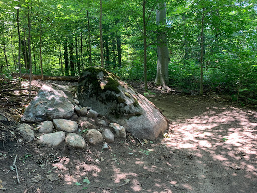 Tanton Family Working Forest Reserve - Mountain Bike Trails Gallery - United States